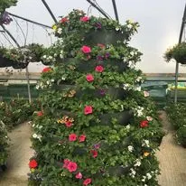 Hanging baskets, bedding plants and garden projects by Low Road Nursery Chesterfield 24