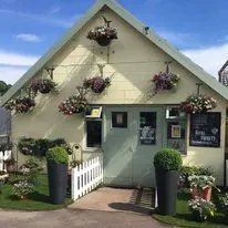 Hanging baskets, bedding plants and garden projects by Low Road Nursery Chesterfield 41