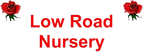 Low Road Nursery plant nursery Chesterfield logo